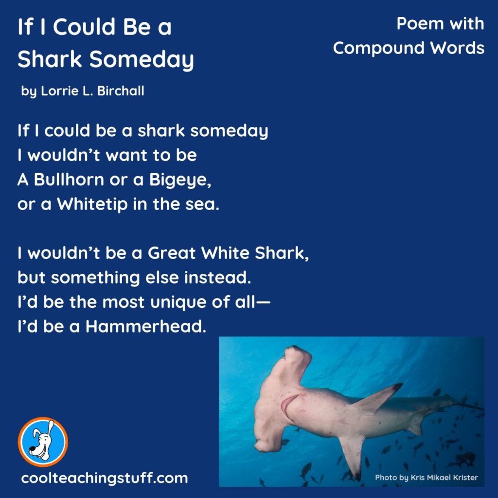 Image of poem If I Could Be a Shark Someday by Lorrie L. Birchall
