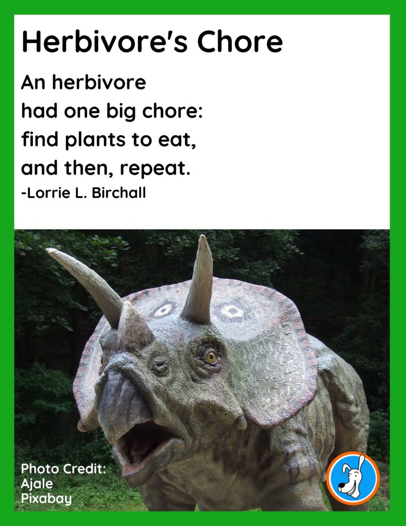 Image of Triceratops dinosaur