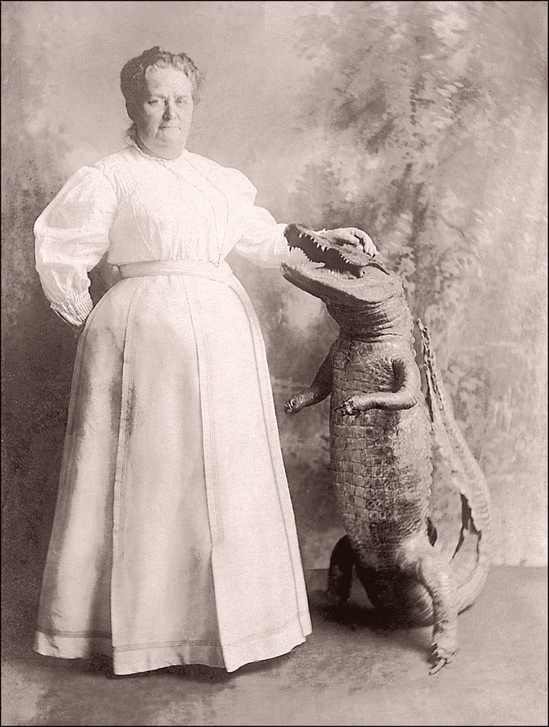 Image of Woman and Alligator for wacky writing picture prompt