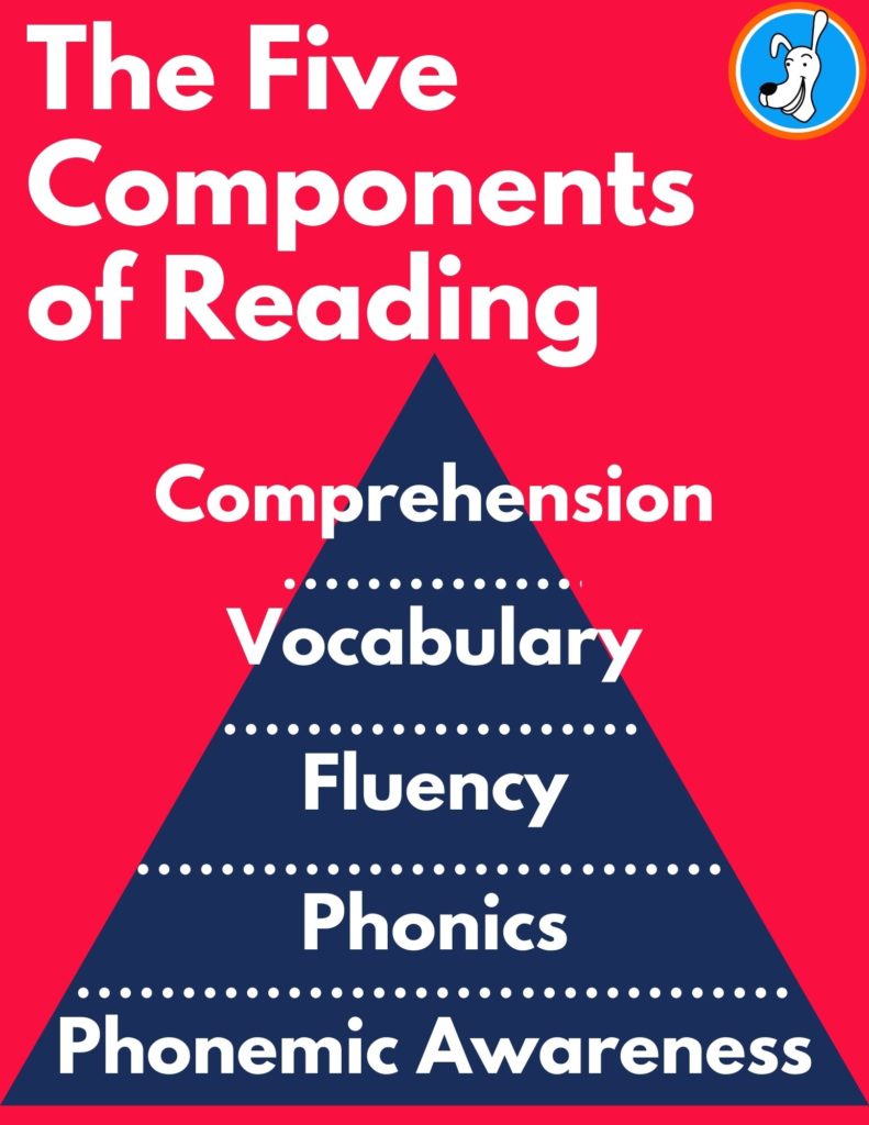 image five components of reading
